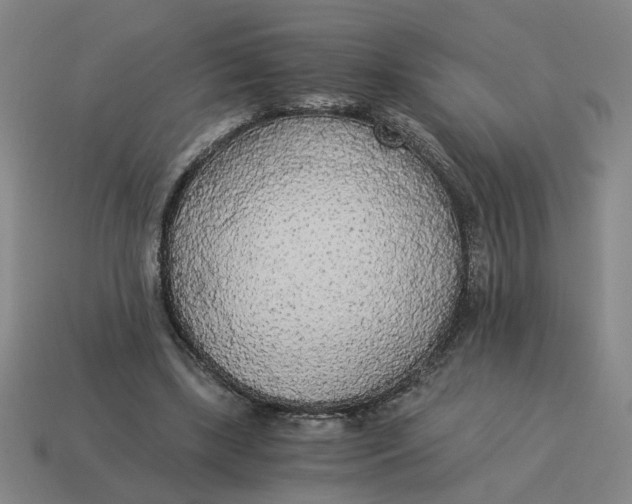 X0000114500443200911091113