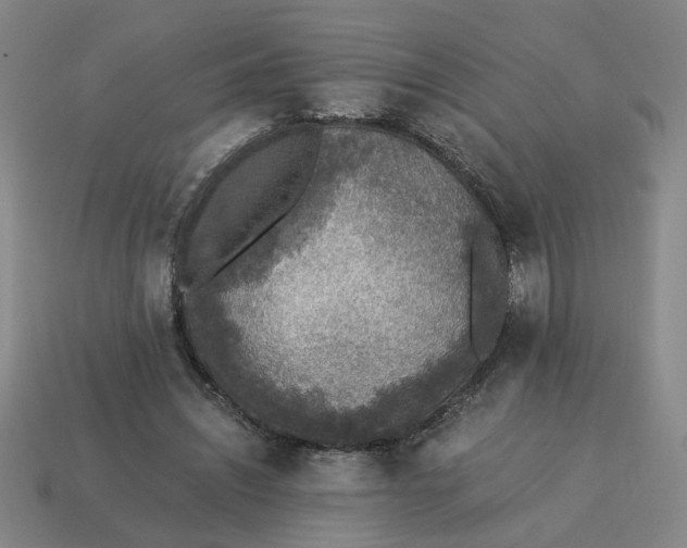 X0000114500444200911091113