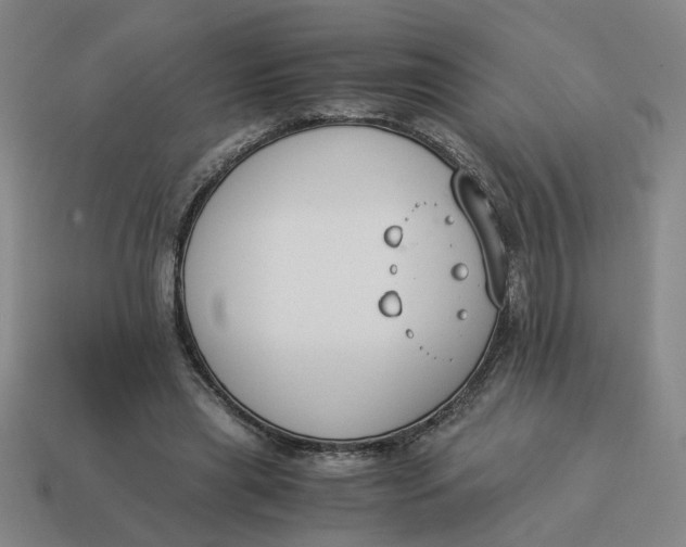 X0000114500445200911091113