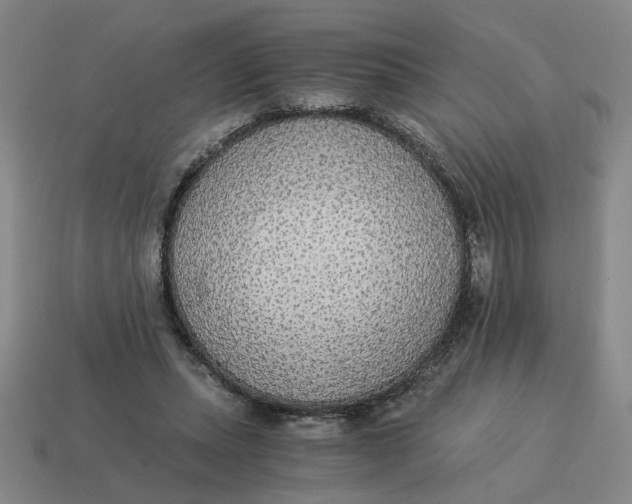 X0000114500447200911091113