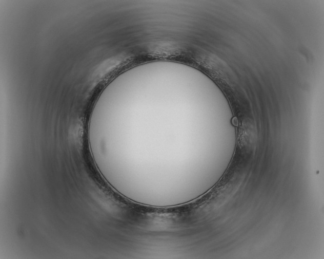 X0000114500448200911091113