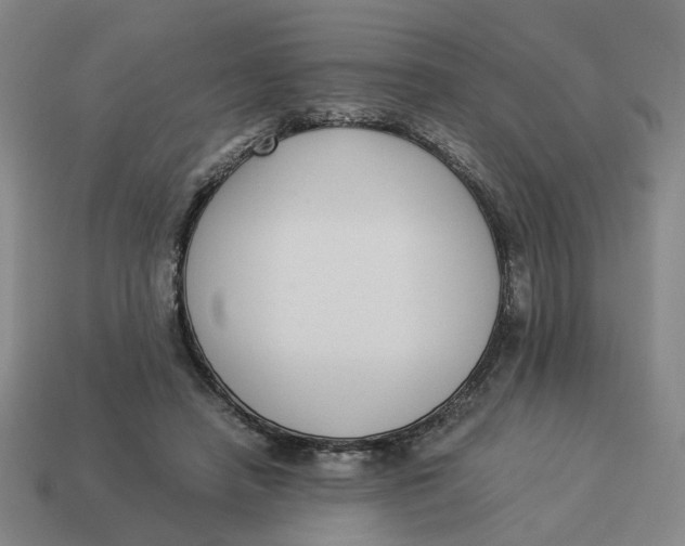 X0000114500450200911091113