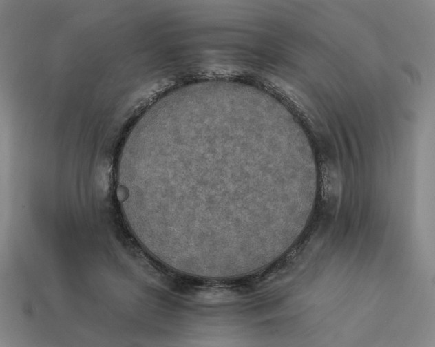 X0000114500451200911091113
