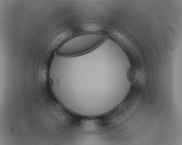X0000114500452200911091113
