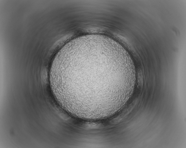 X0000114500453200911091113