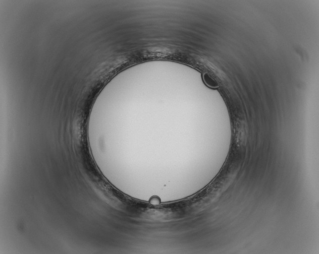 X0000114500455200911091113