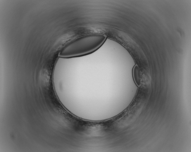 X0000114500456200911091113