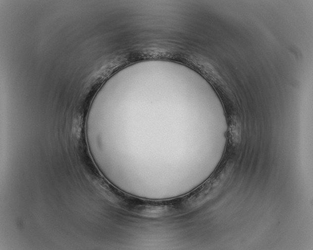X0000114500458200911091113