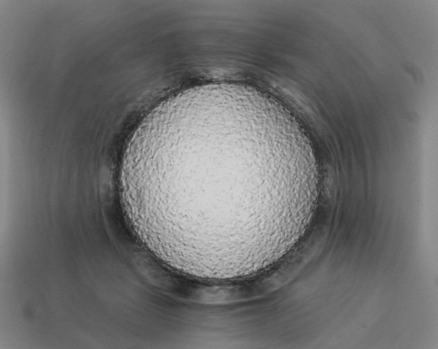 X0000114500461200911091113