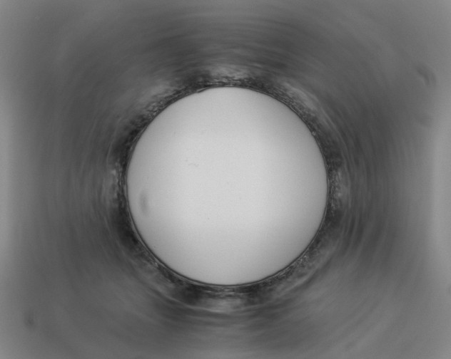X0000114500463200911091113