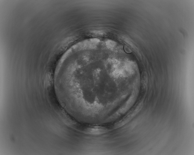 X0000114500467200911091113