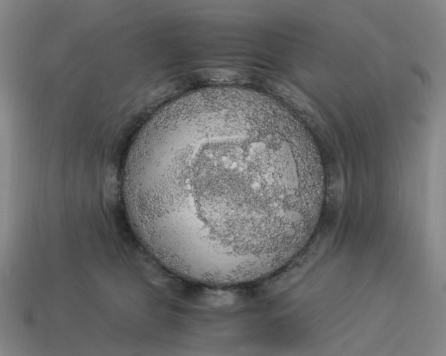 X0000114500469200911091113