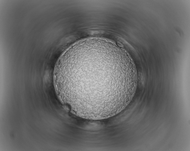 X0000114500475200911091113