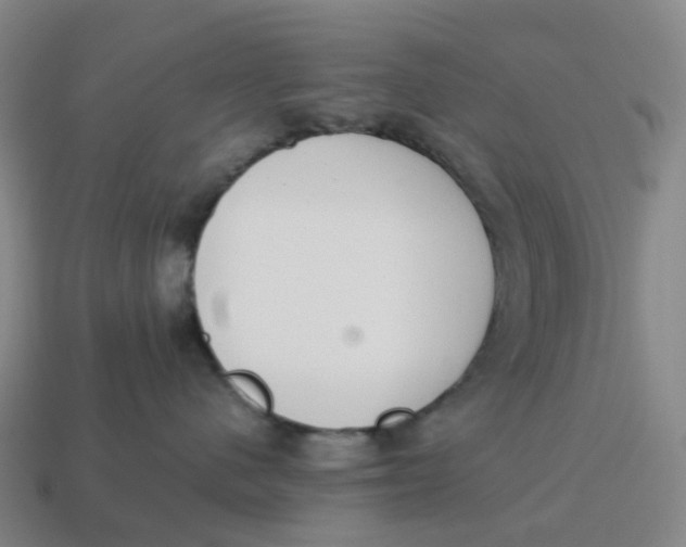 X0000114500480200911091113