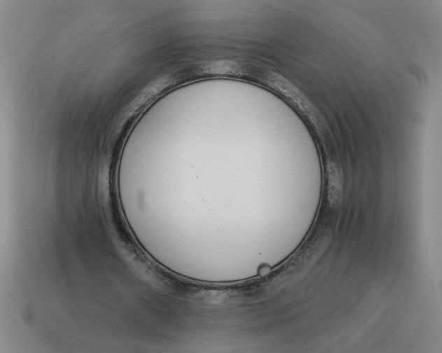X0000114500482200911091113