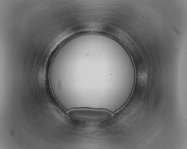 X0000114500484200911091113