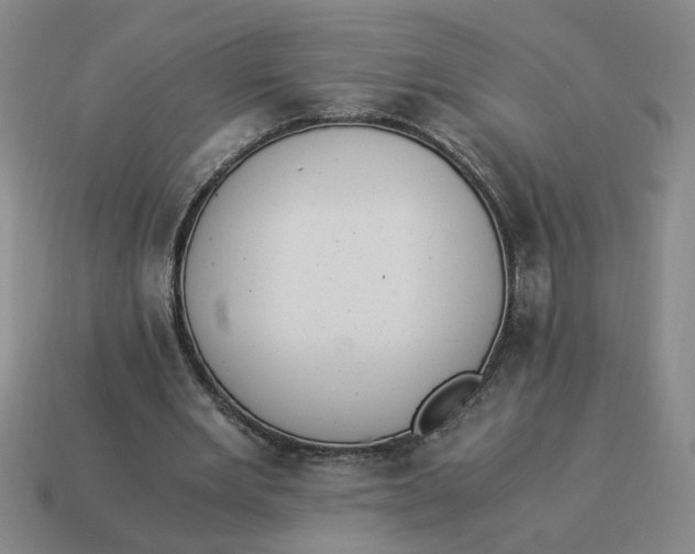 X0000114500485200911091113