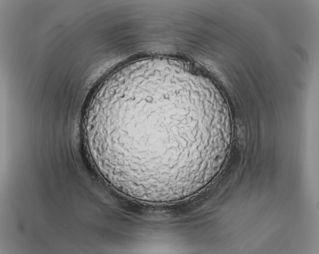 X0000114500487200911091113