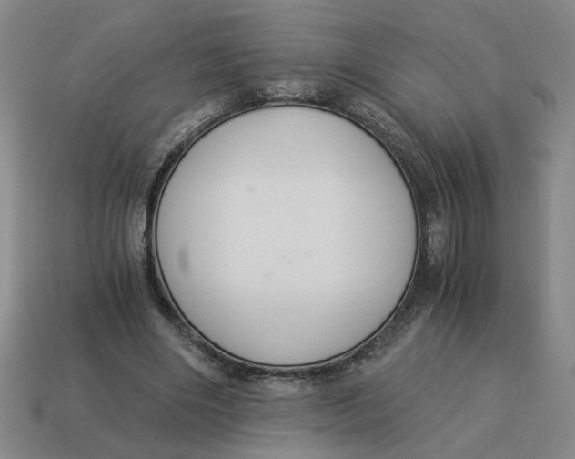 X0000114500490200911091112