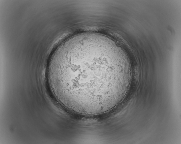X0000114500491200911091112