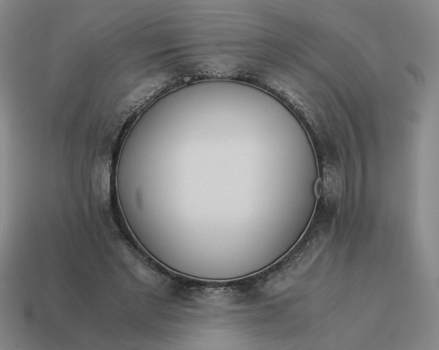 X0000114500493200911091112
