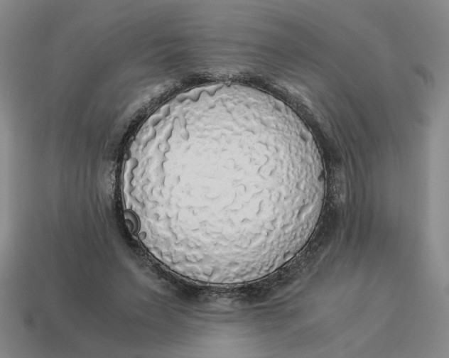 X0000114500495200911091112