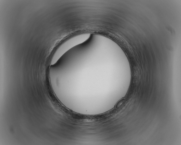 X0000114500496200911091112