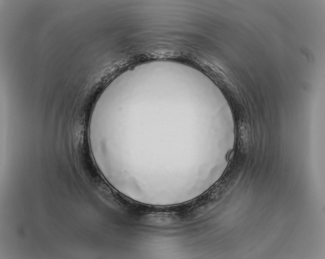 X0000114500499200911091112