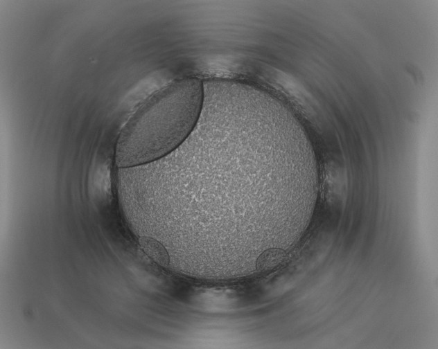 X0000114500500200911091112
