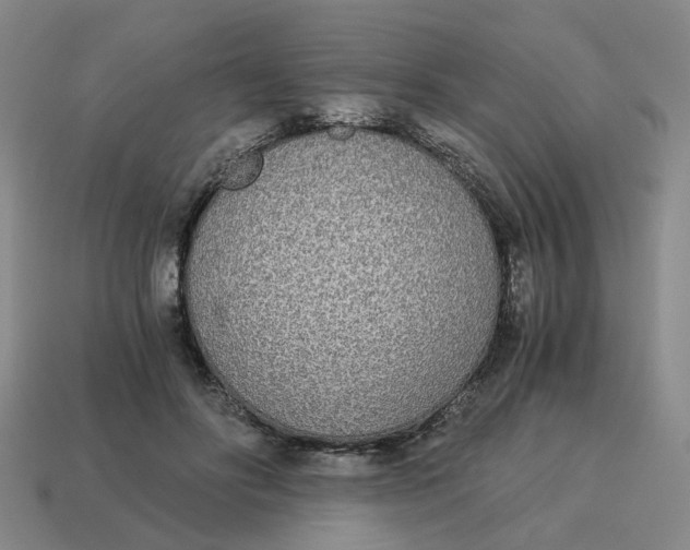 X0000114500502200911091112