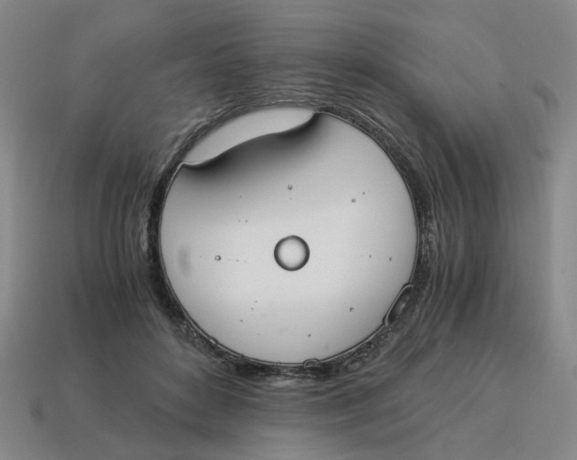 X0000114500504200911091112