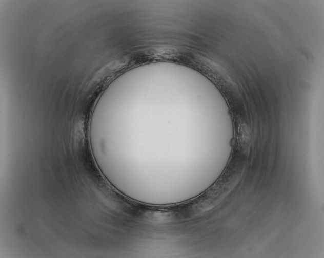 X0000114500506200911091112