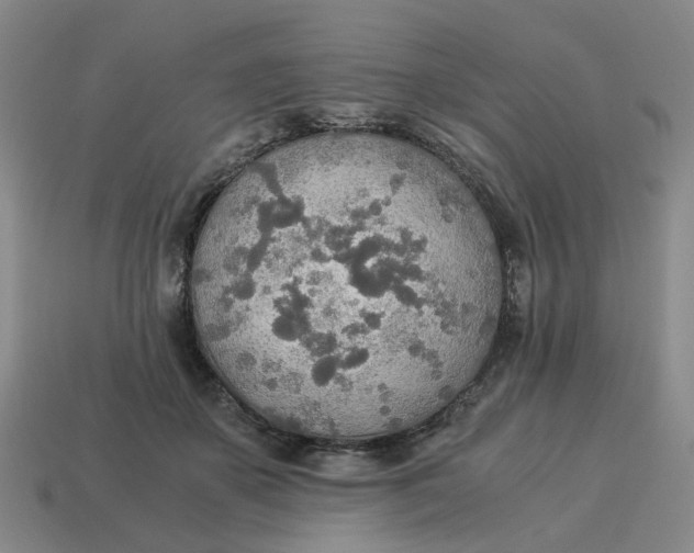 X0000114500507200911091112