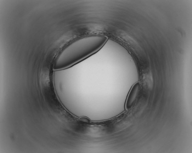 X0000114500508200911091112
