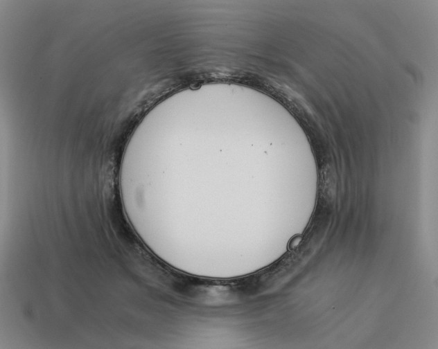 X0000114500509200911091112