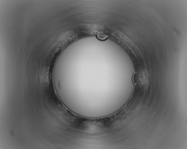 X0000114500512200911091112