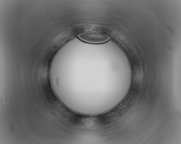 X0000114500513200911091112
