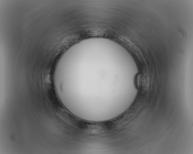 X0000114500516200911091112