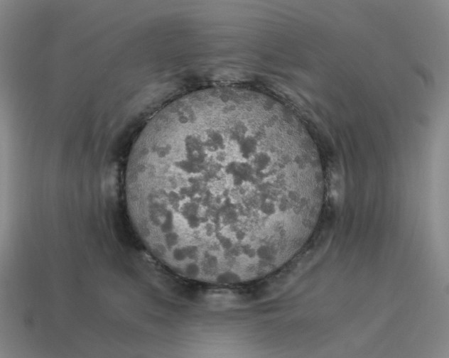 X0000114500519200911091112