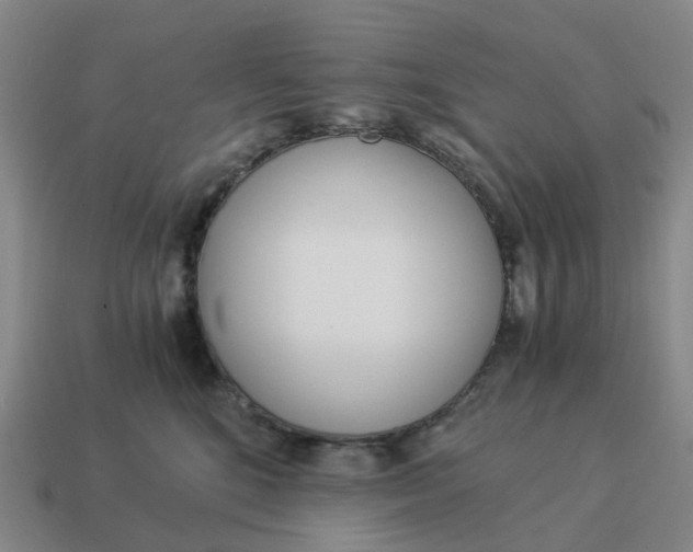 X0000114500520200911091112