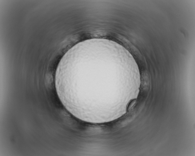 X0000114500523200911091112