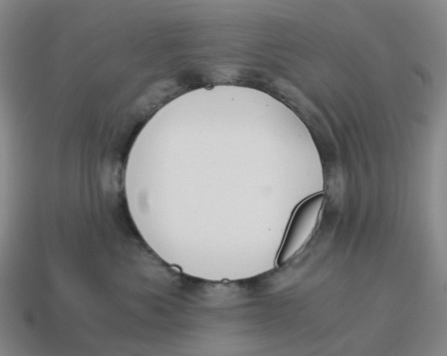 X0000114500525200911091112