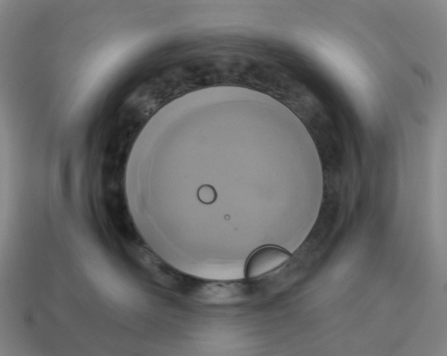 X0000114500526200911091112
