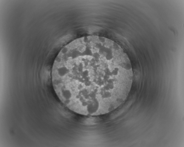 X0000114500527200911091112
