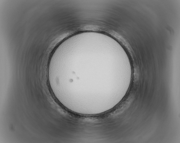 X0000114500529200911091111