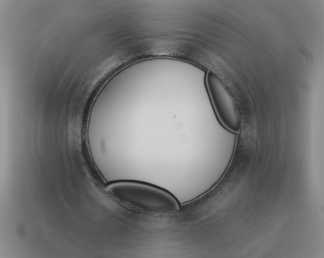 X0000114500530200911091111