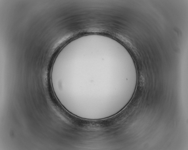 X0000114500535200911091111