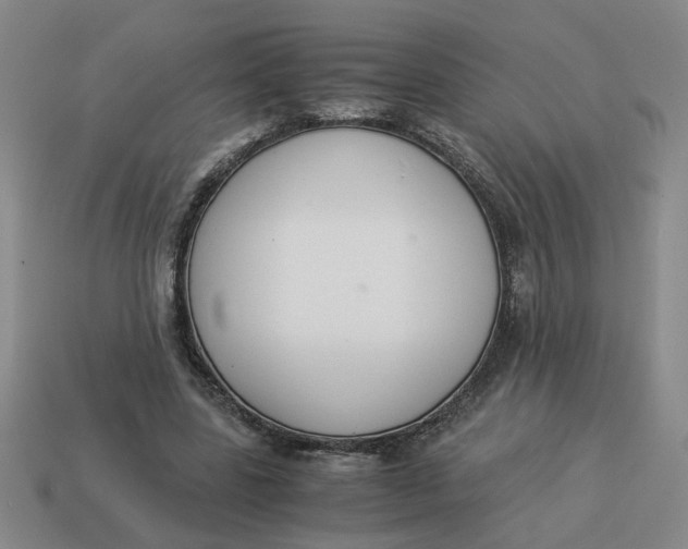 X0000114500539200911091112