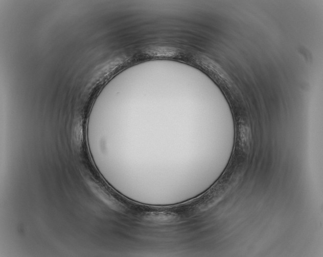 X0000114500541200911091112