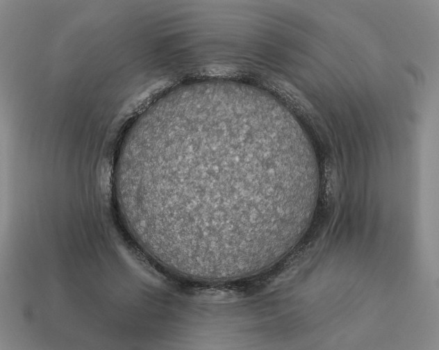 X0000114500542200911091112
